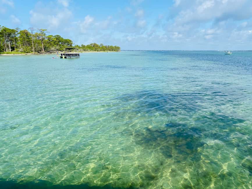image n.13 of Destin: Snorkeling Cruise with 2 Stops and Dolphin Watching activity in Destin, uploaded by supplier