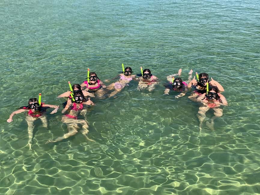 image n.14 of Destin: Snorkeling Cruise with 2 Stops and Dolphin Watching activity in Destin, uploaded by supplier