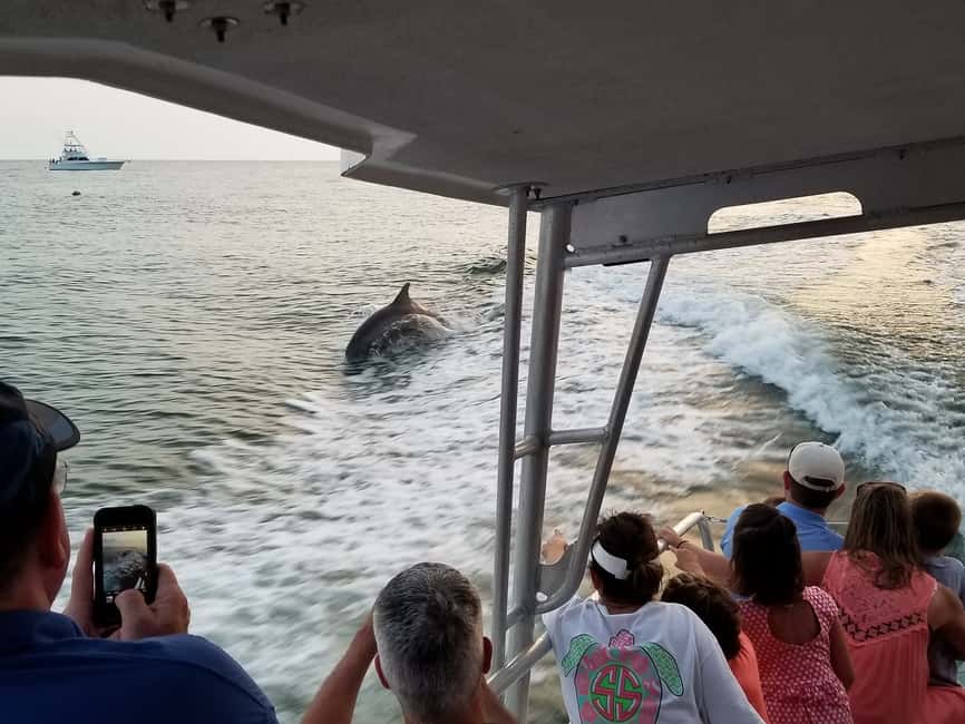 image n.2 of Destin: Snorkeling Cruise with 2 Stops and Dolphin Watching activity in Destin, uploaded by supplier