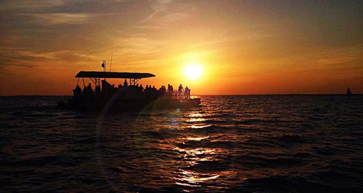 image n.2 of Destin: Dolphin Watching Cruise activity in Mexico, uploaded by supplier