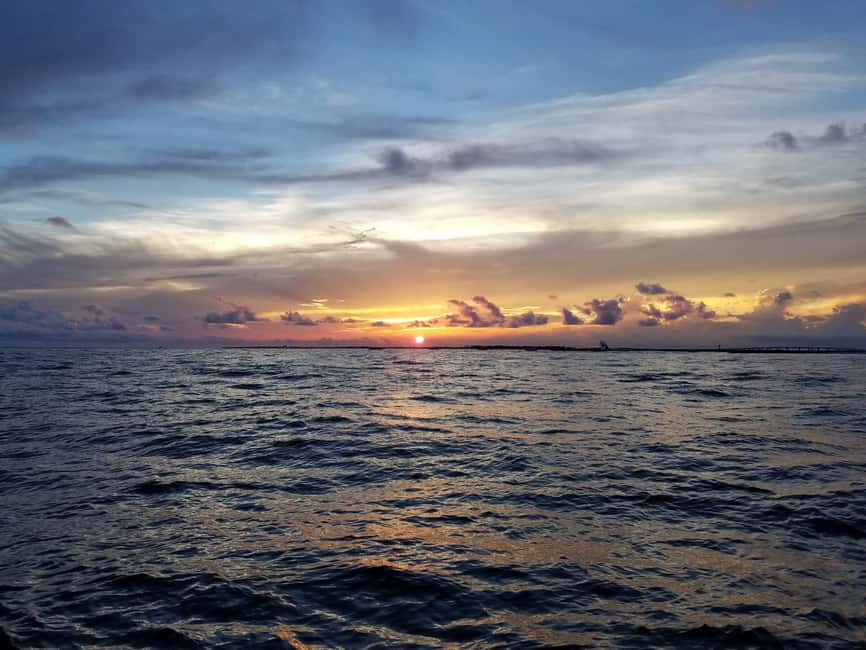 image n.15 of Destin: Dolphin Watching Cruise activity in Mexico, uploaded by supplier