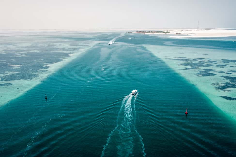 image n.3 of Abu Dhabi: 4-Hour Guided Cruise & Island Hopping activity in Abu Dhabi, uploaded by supplier
