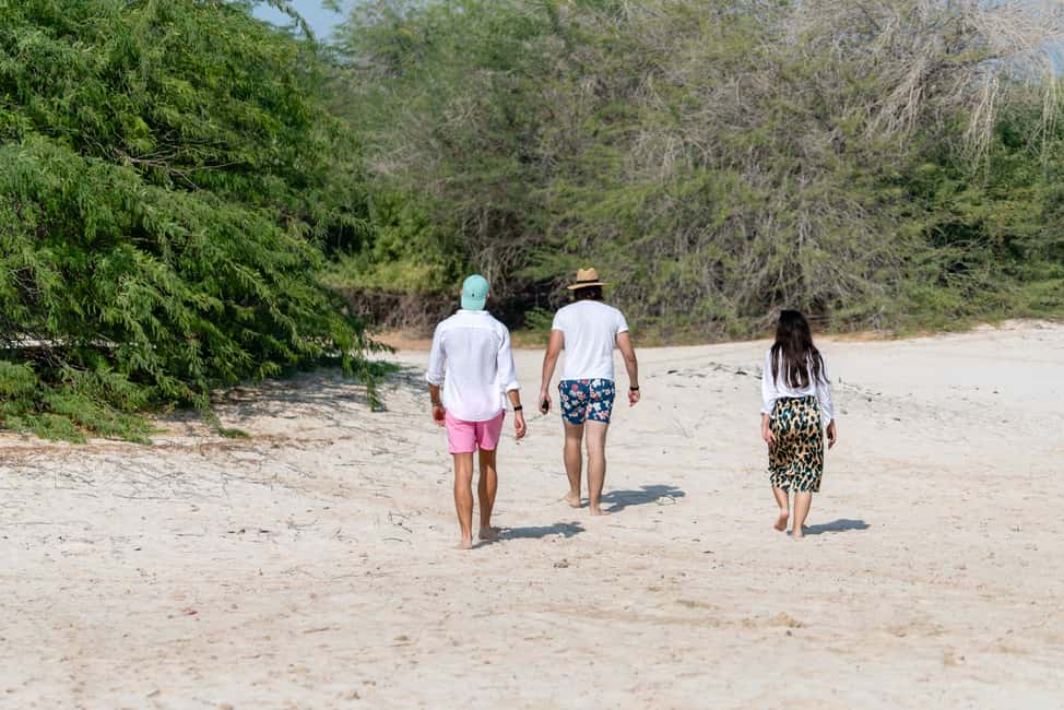 image n.6 of Abu Dhabi: 4-Hour Guided Cruise & Island Hopping activity in Abu Dhabi, uploaded by supplier