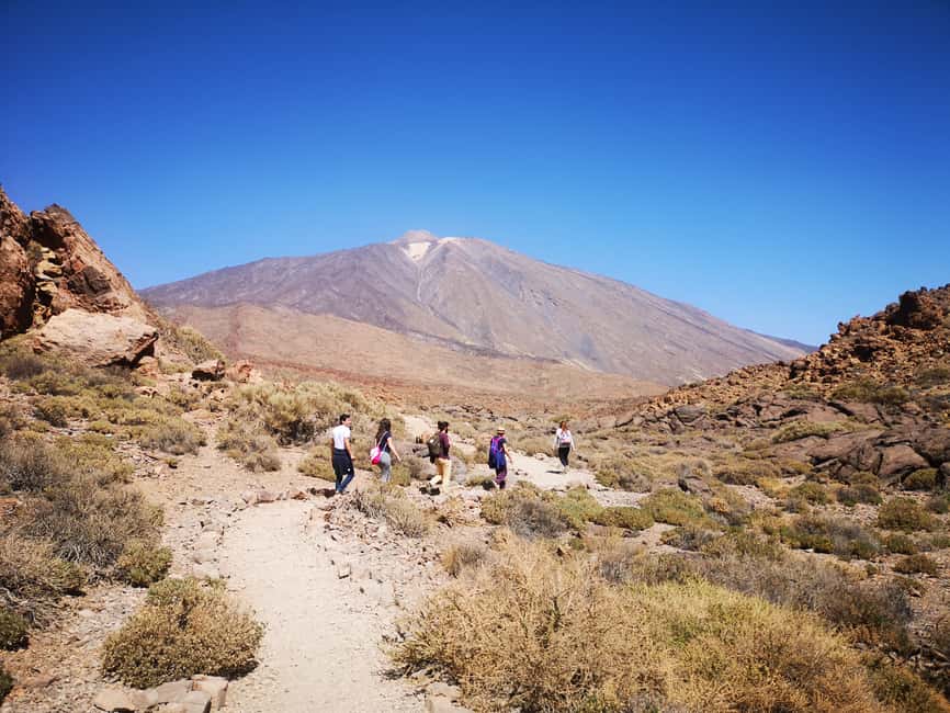 billede nr.2 af aktiviteten Fra det sydlige Tenerife: Teide National Park Tour i Kanarieøerne, uploadet af udbyder
