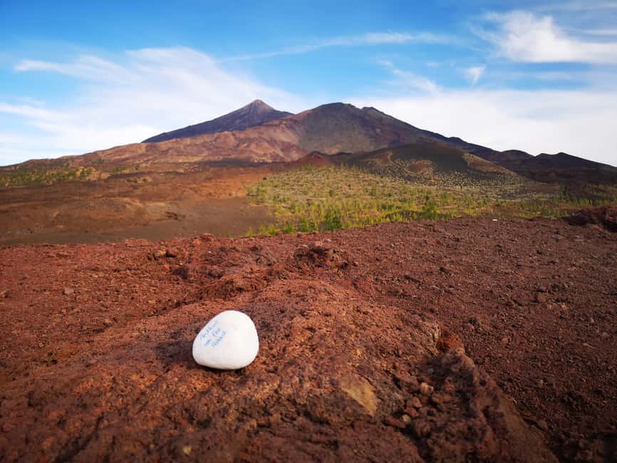 billede nr.9 af aktiviteten Fra det sydlige Tenerife: Teide National Park Tour i Kanarieøerne, uploadet af udbyder