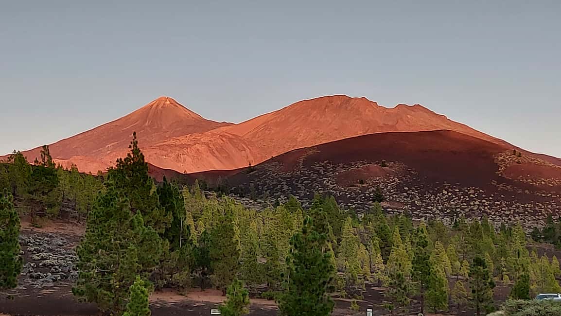 billede nr.12 af aktiviteten Fra det sydlige Tenerife: Teide National Park Tour i Kanarieøerne, uploadet af udbyder