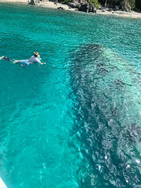 billede nr.9 af aktiviteten Thomas & St John: Bådtur med snorkling og strande i Sankt Jan, uploadet af udbyder