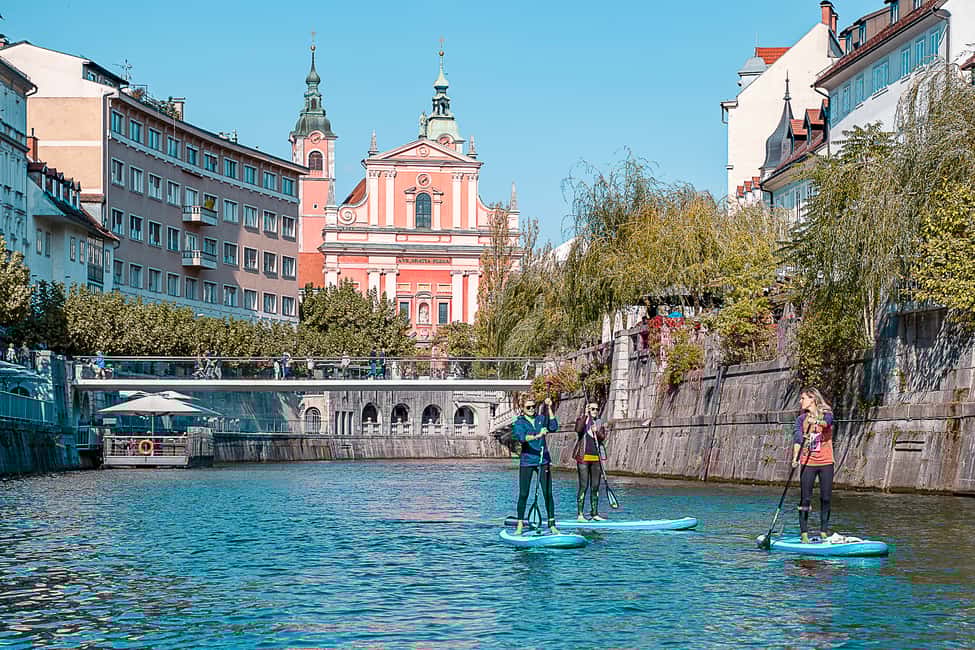 image n.3 of Ljubljana: Stand-Up Paddle Boarding Tour activity in Ljubljana, uploaded by supplier