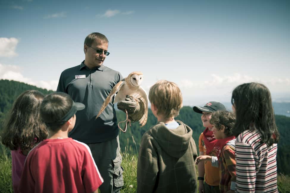 image n.5 of Vancouver: Grouse Mountain Express Tour with Skyride activity in Vancouver, uploaded by supplier