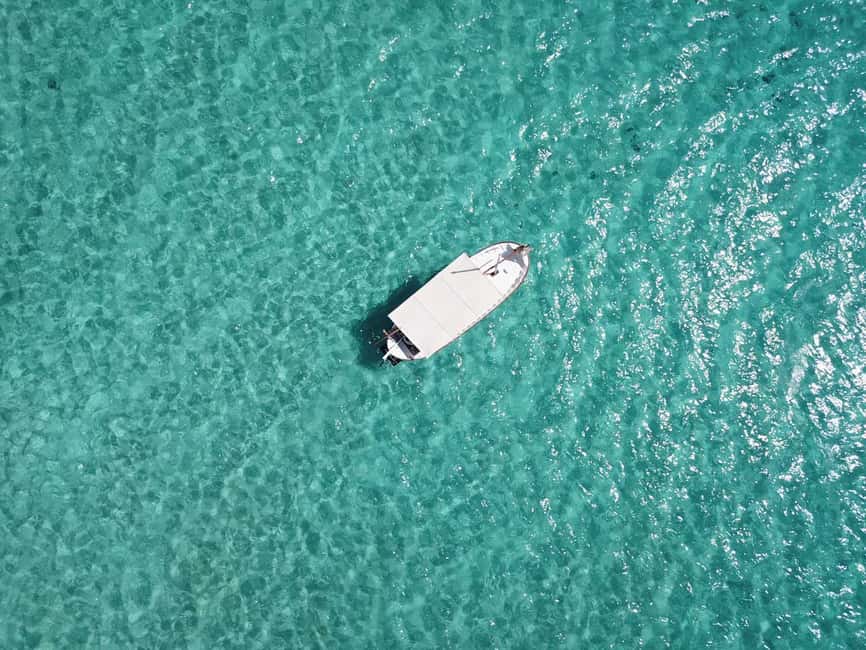 bild nr.15 av Mallorca: Privat båttur till södra stränderna i Llaut aktivitet i Ses Covetes, uppladdad av arrangören