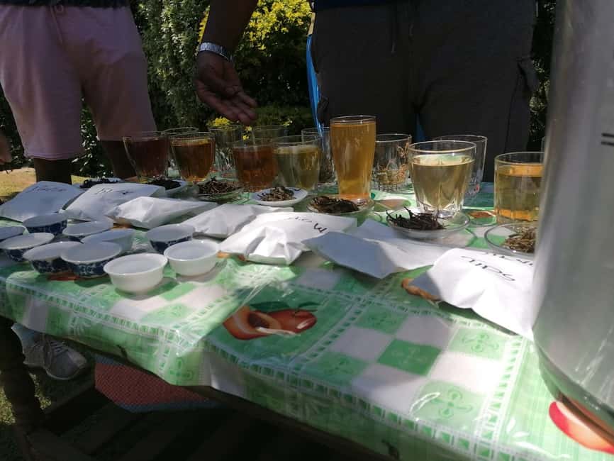 image n.4 of Purple Tea Farm Tour from Nairobi - Explore Gatura Greens activity in Thika, uploaded by supplier