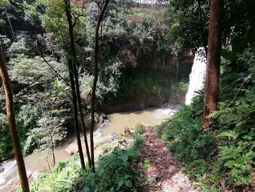 image n.7 of Purple Tea Farm Tour from Nairobi - Explore Gatura Greens activity in Thika, uploaded by supplier