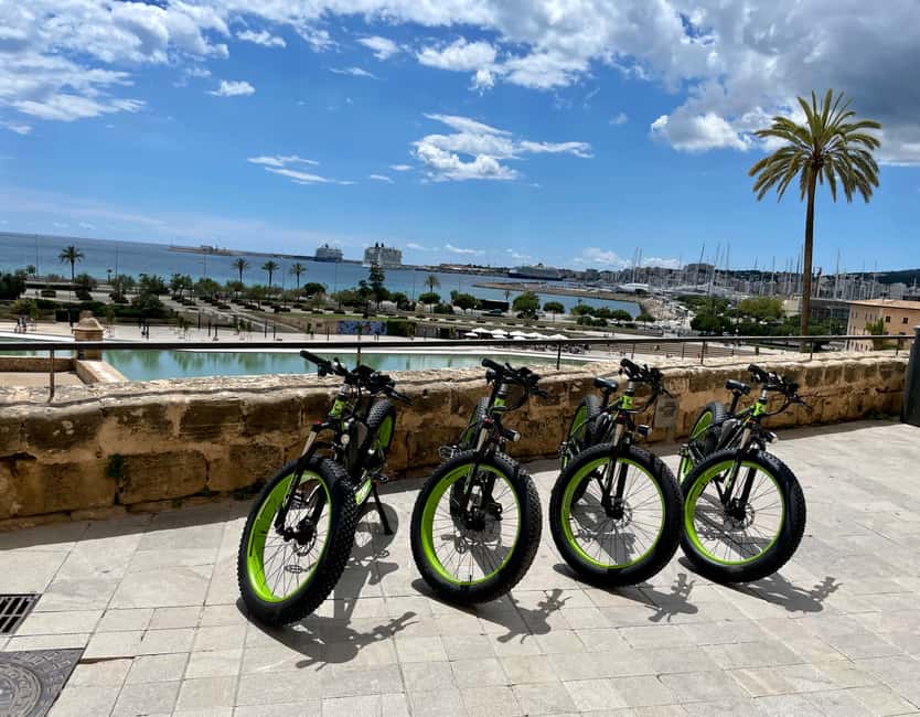image n.4 of Palma: Guided City Tour with a Fat Tire E-Bike activity in Palma de Mallorca, uploaded by supplier