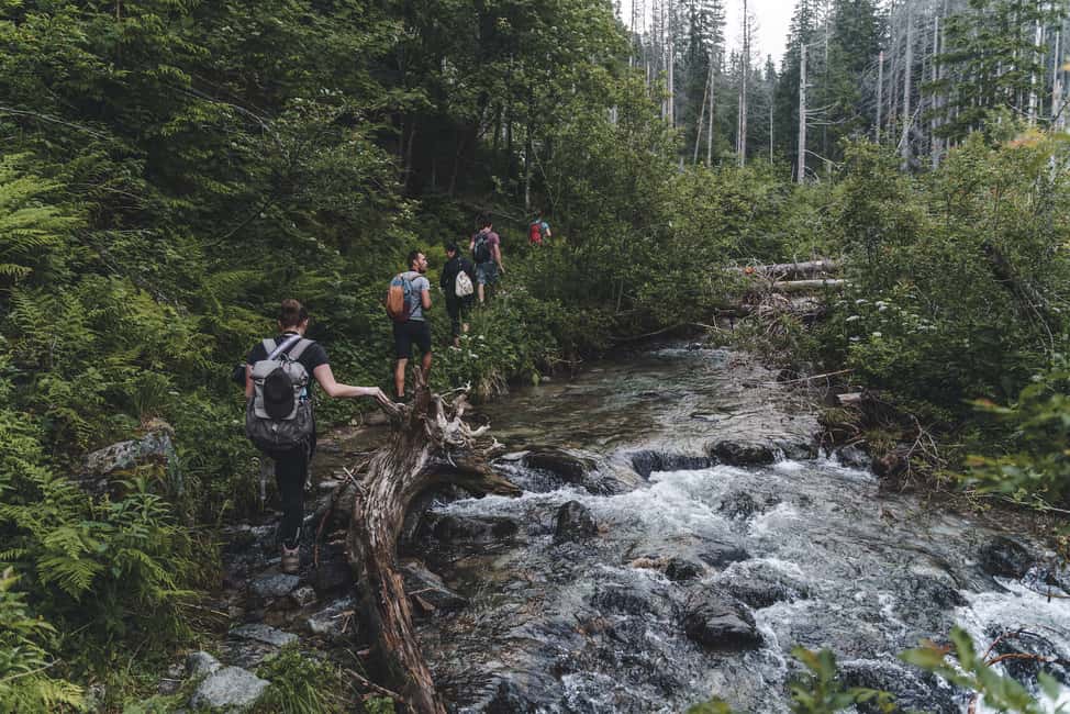 image n.6 of High Tatras: Bearwatching Hiking Tour in Slovakia activity in Presov Region, uploaded by supplier