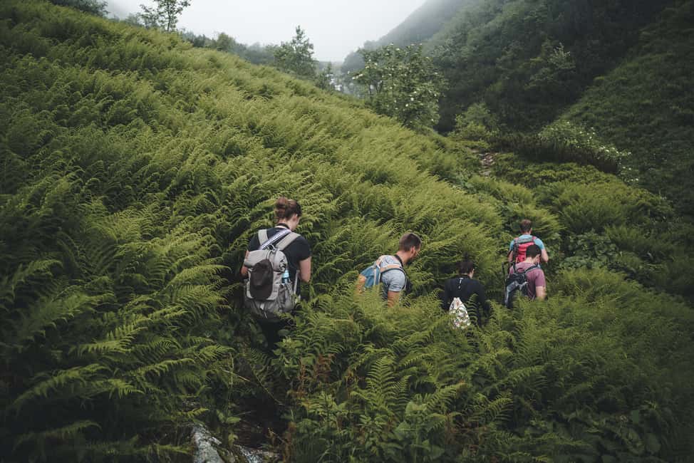 image n.8 of High Tatras: Bearwatching Hiking Tour in Slovakia activity in Presov Region, uploaded by supplier