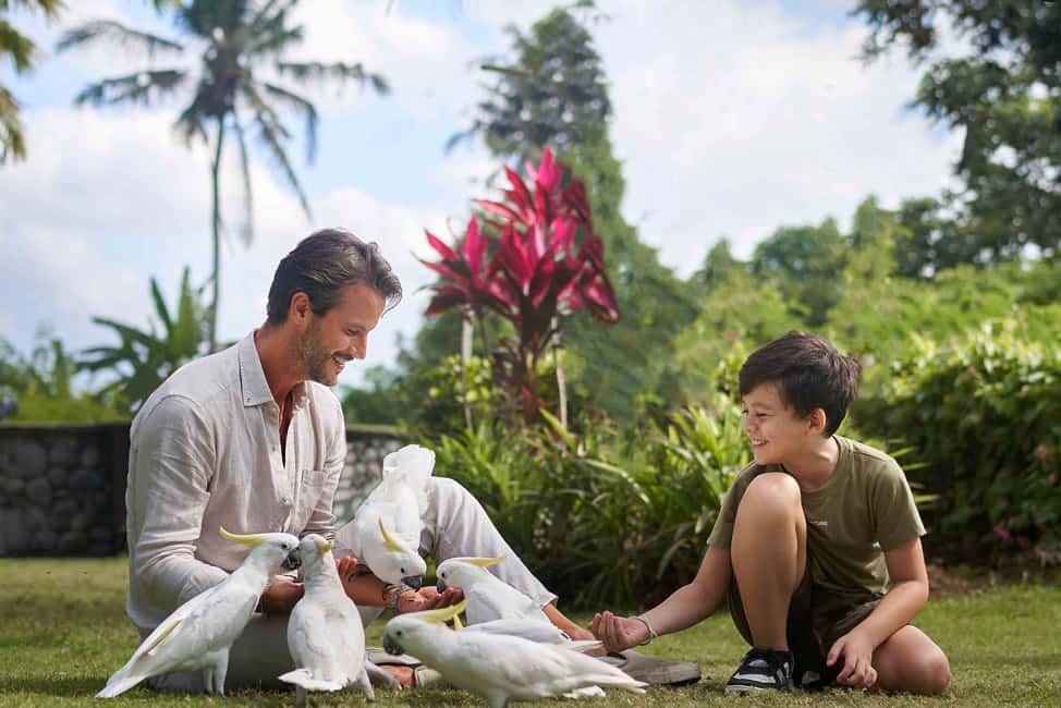 image n.3 of Bali Zoo: Breakfast with the Orangutans activity in Ubud, uploaded by supplier