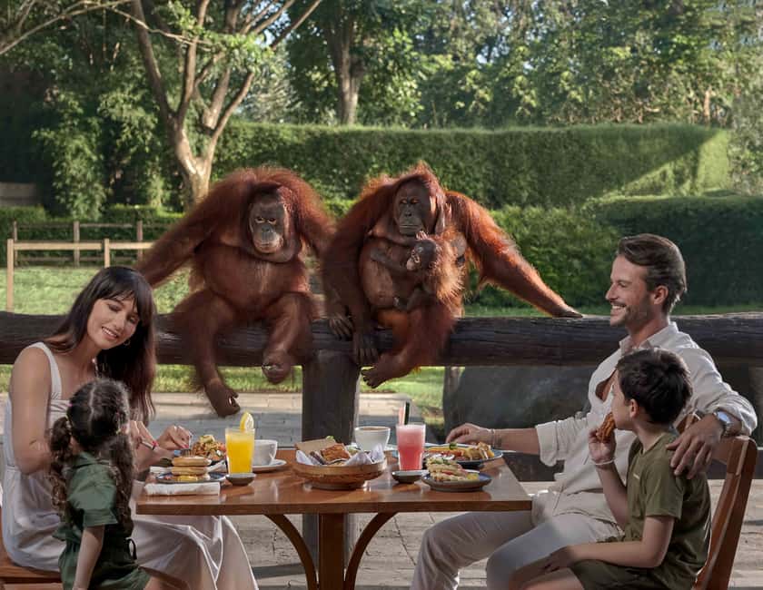 image n.1 of Bali Zoo: Breakfast with the Orangutans activity in Ubud, uploaded by supplier