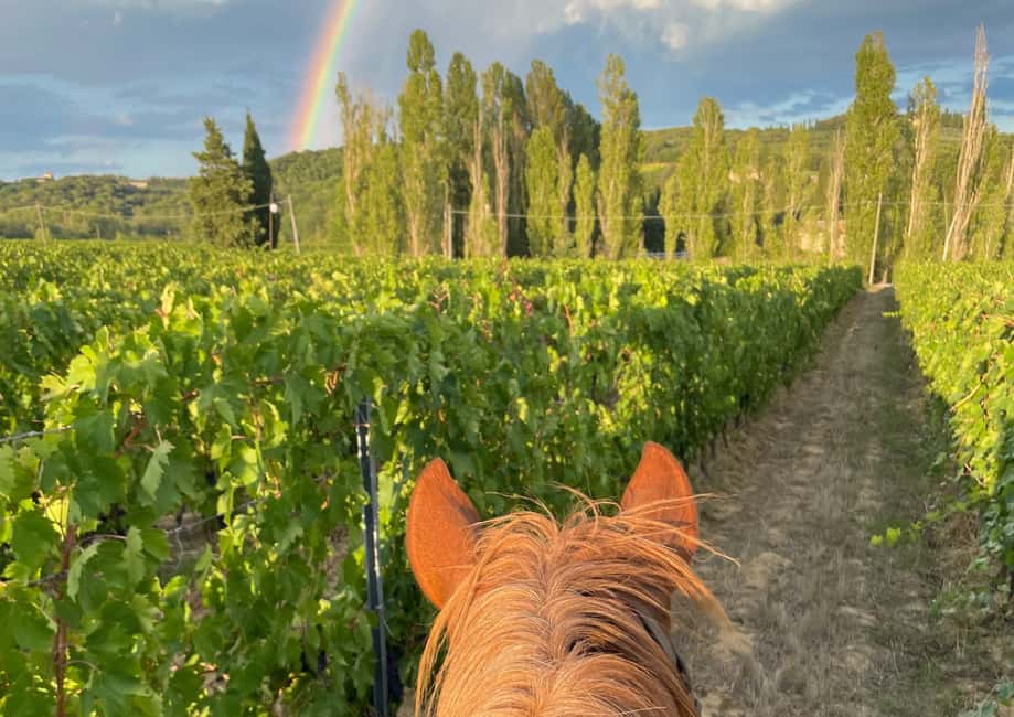 imagen n.º 16 de Siena: Aventura a caballo por la campiña toscana actividad en Siena, subida por el proveedor