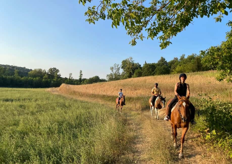 imagen n.º 6 de Siena: Aventura a caballo por la campiña toscana actividad en Siena, subida por el proveedor