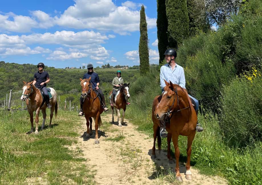 imagen n.º 11 de Siena: Aventura a caballo por la campiña toscana actividad en Siena, subida por el proveedor