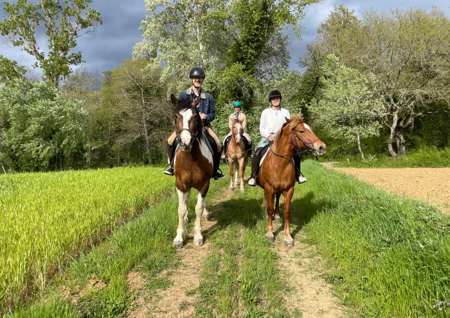 imagen n.º 8 de Siena: Aventura a caballo por la campiña toscana actividad en Siena, subida por el proveedor