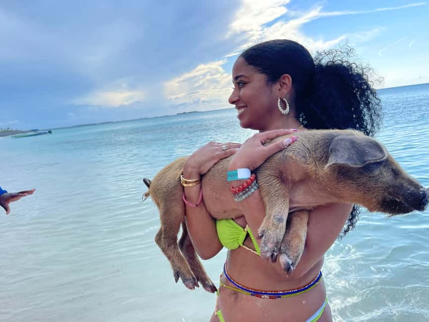 Image N°77 de Nassau : Cochons, plongée en apnée, tortues, déjeuner, club de plage privé activité à New Providence, publiée par le prestataire