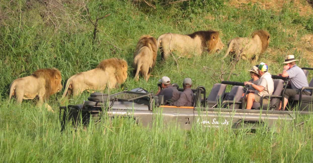 image n.2 of Kasane: Full Day Chobe National Park Safari with Lunch activity in Victoria Falls Town, uploaded by supplier