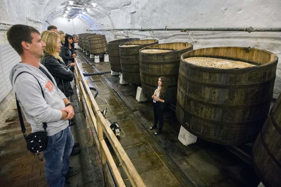 Immagine nº 7 di Tour del birrificio Pilsner con degustazione di birra e città ceca di Pilsen attività a Plzeň, caricata dal fornitore