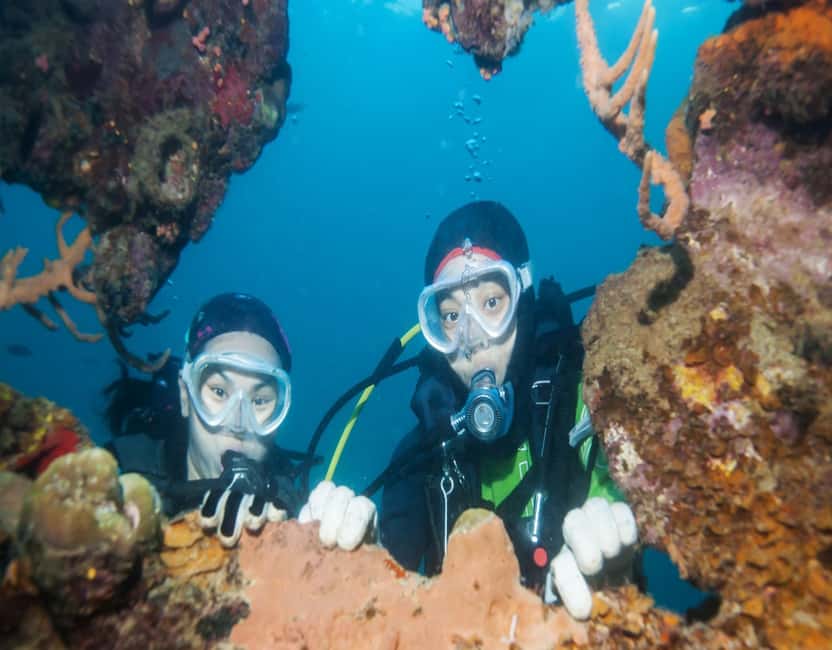 image n.3 of Fethiye: 2 Guided Scuba Dives with Lunch and Hotel Transfers activity in Fethiye, uploaded by supplier
