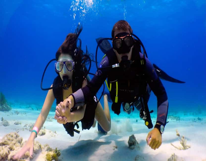 image n.4 of Fethiye: 2 Guided Scuba Dives with Lunch and Hotel Transfers activity in Fethiye, uploaded by supplier