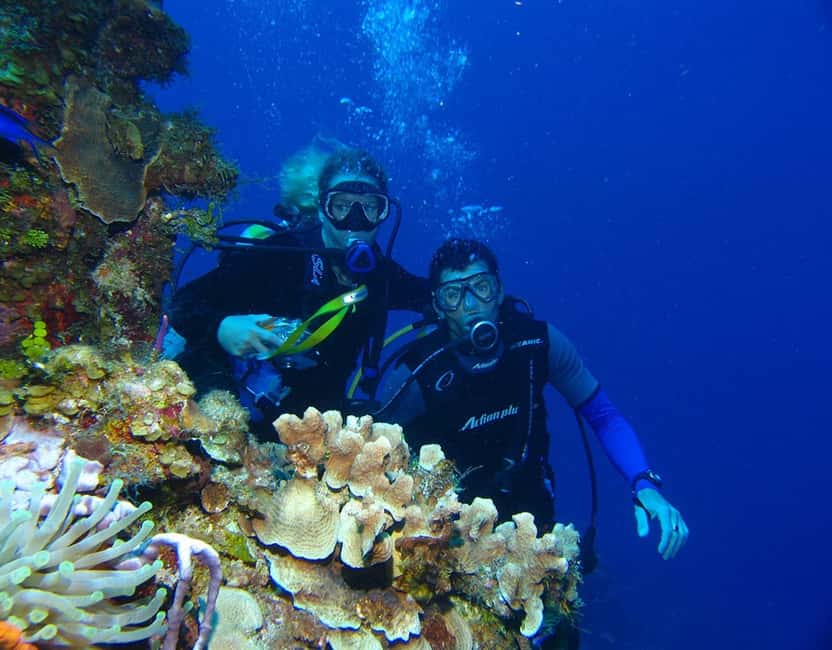 image n.6 of Fethiye: 2 Guided Scuba Dives with Lunch and Hotel Transfers activity in Fethiye, uploaded by supplier