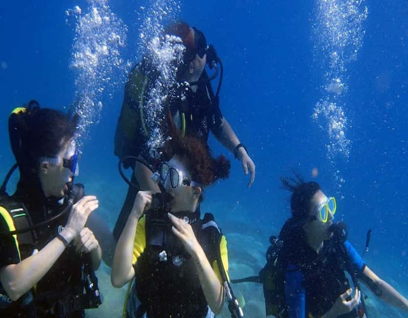 image n.9 of Fethiye: 2 Guided Scuba Dives with Lunch and Hotel Transfers activity in Fethiye, uploaded by supplier