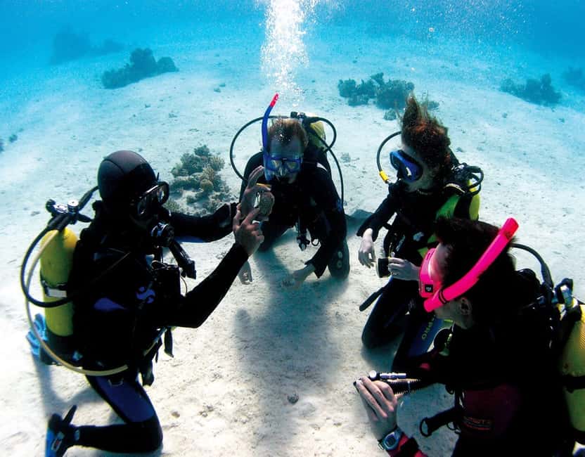 image n.12 of Fethiye: 2 Guided Scuba Dives with Lunch and Hotel Transfers activity in Fethiye, uploaded by supplier