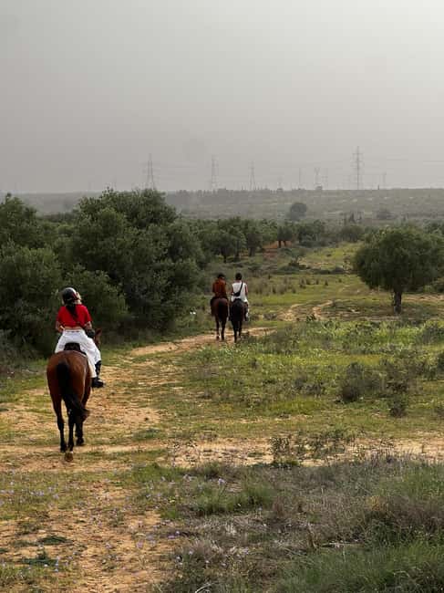 Image N°3 de Sousse/Monastir : excursion privée à cheval avec transfert activité à Monastir, publiée par le prestataire