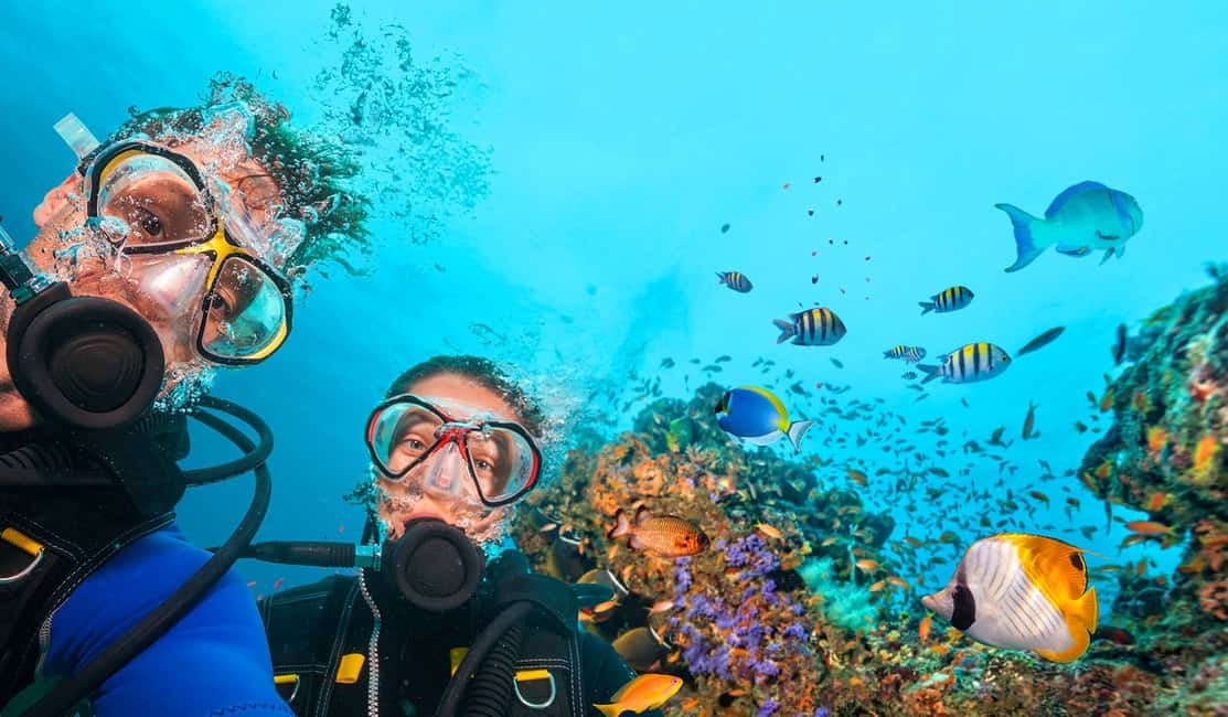image n.4 of Bodrum: Scuba Diving Briefing & Diving Experience activity in Bodrum, uploaded by supplier