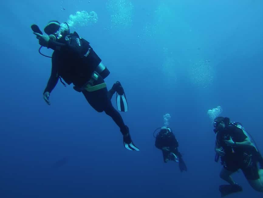 image n.3 of Bodrum: Scuba Diving Briefing & Diving Experience activity in Bodrum, uploaded by supplier