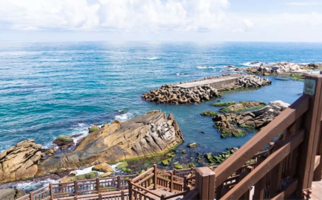 image n.14 of Seoul: Gangneung from K-Pop Band Bus Stop to Anmok Beach activity in Gangneung-si, uploaded by supplier