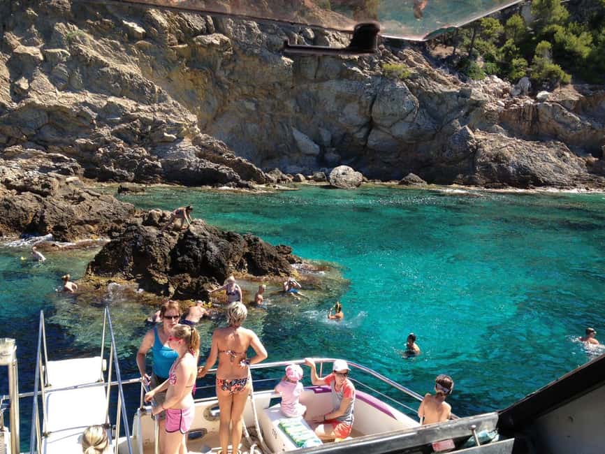 Bild Nr. 6 von Von Palma: 3-stündige Bootstour zur Delfinbeobachtung am Morgen Aktivität in Palma de Mallorca, hochgeladen vom Anbieter