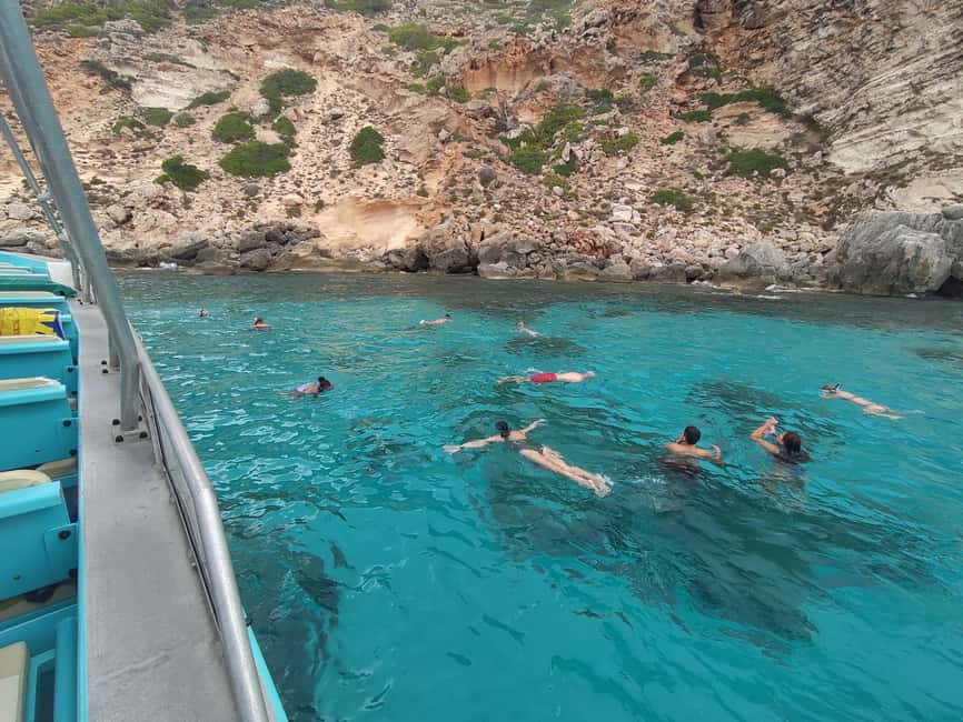 Bild Nr. 10 von Von Palma: 3-stündige Bootstour zur Delfinbeobachtung am Morgen Aktivität in Palma de Mallorca, hochgeladen vom Anbieter