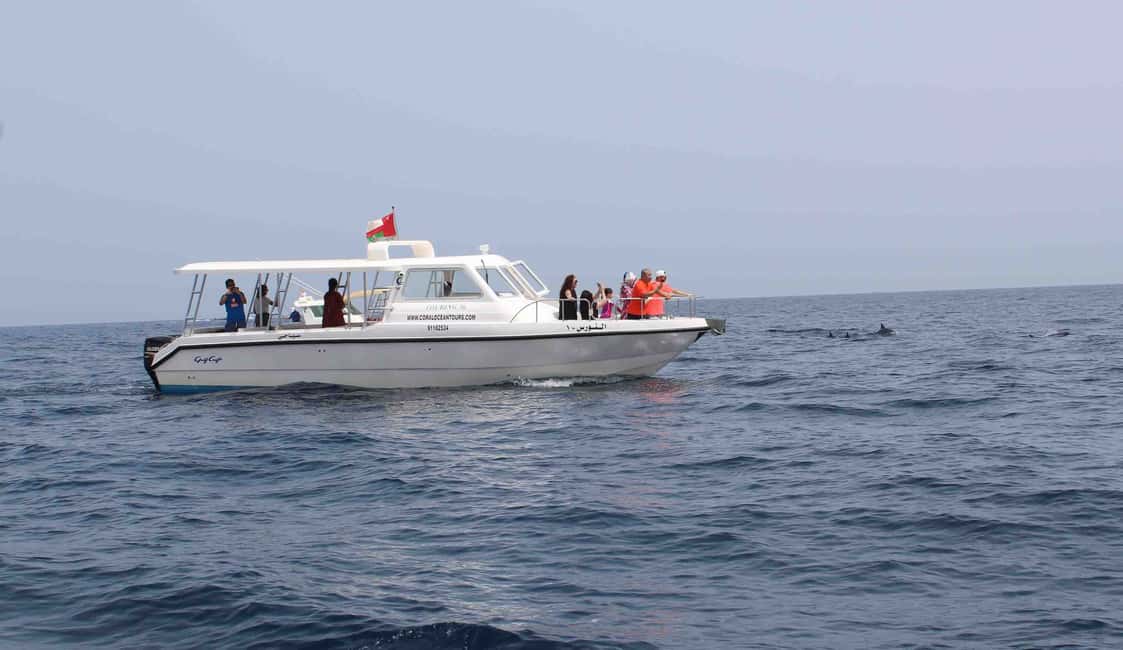 Immagine nº 1 di Muscat: tour di avvistamento dei delfini e snorkeling in barca attività a Mascate, caricata dal fornitore