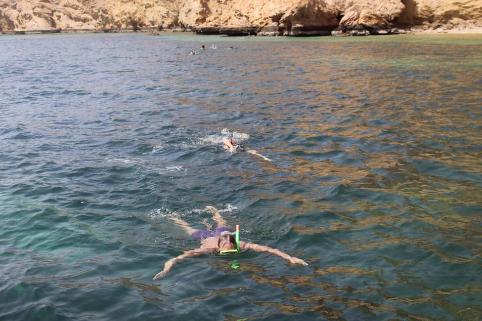 Immagine nº 4 di Muscat: tour di avvistamento dei delfini e snorkeling in barca attività a Mascate, caricata dal fornitore