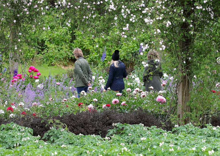 Obraz nr 6 z atrakcji Waterford: Bilet wstępu do Mount Congreve Gardens w Waterford, przesłany przez organizatora