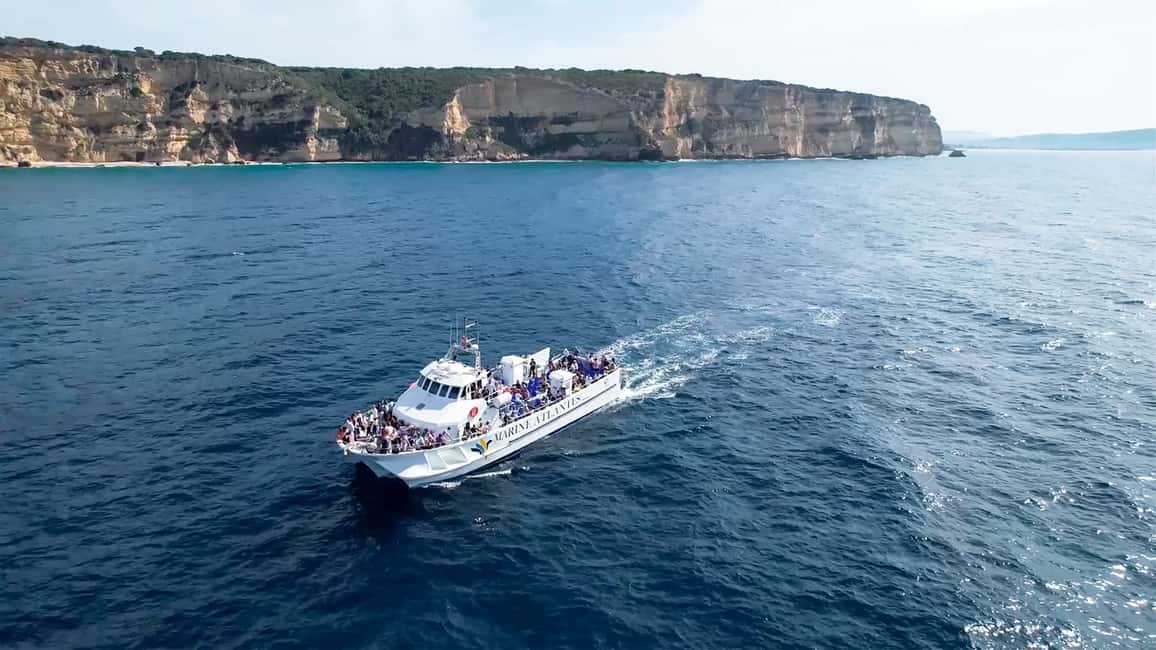 imagen n.º 2 de Barbate: Observación de delfines y ballenas en el Cabo de Trafalgar actividad en Cádiz, subida por el proveedor