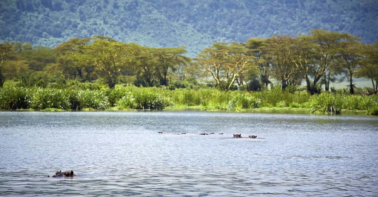 image n.9 of Day Trip: Hell's Gate Bike Ride & Lake Naivasha Boat Ride activity in Nakuru, uploaded by supplier