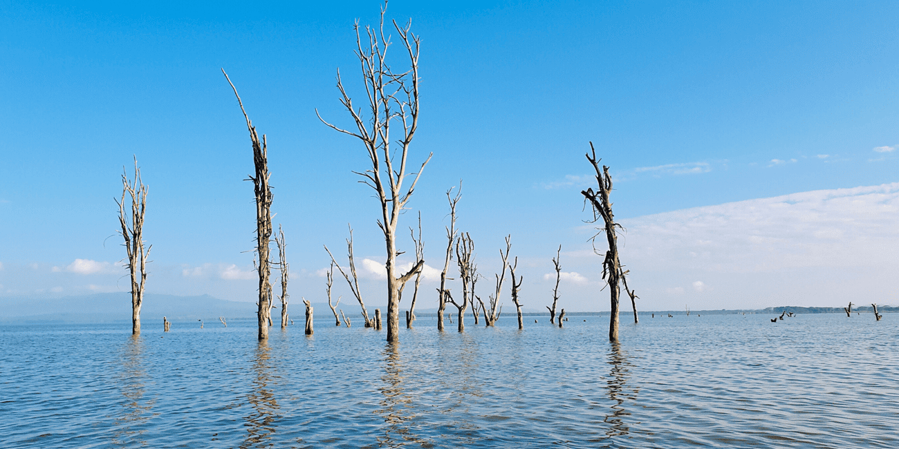 image n.12 of Day Trip: Hell's Gate Bike Ride & Lake Naivasha Boat Ride activity in Nakuru, uploaded by supplier