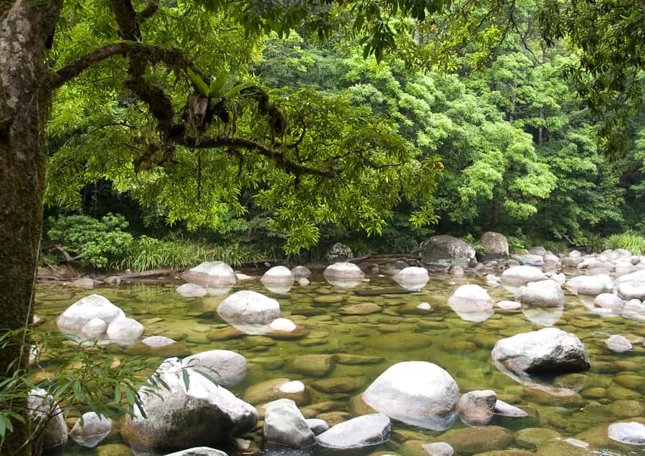 image n.4 of Cairns: Daintree, Mossman Gorge, & Cape Tribulation Day Trip activity in Queensland, uploaded by supplier