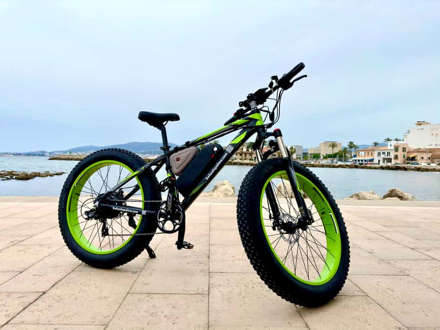 image n.9 of Palma: Guided City Tour with a Fat Tire E-Bike activity in Palma de Mallorca, uploaded by supplier