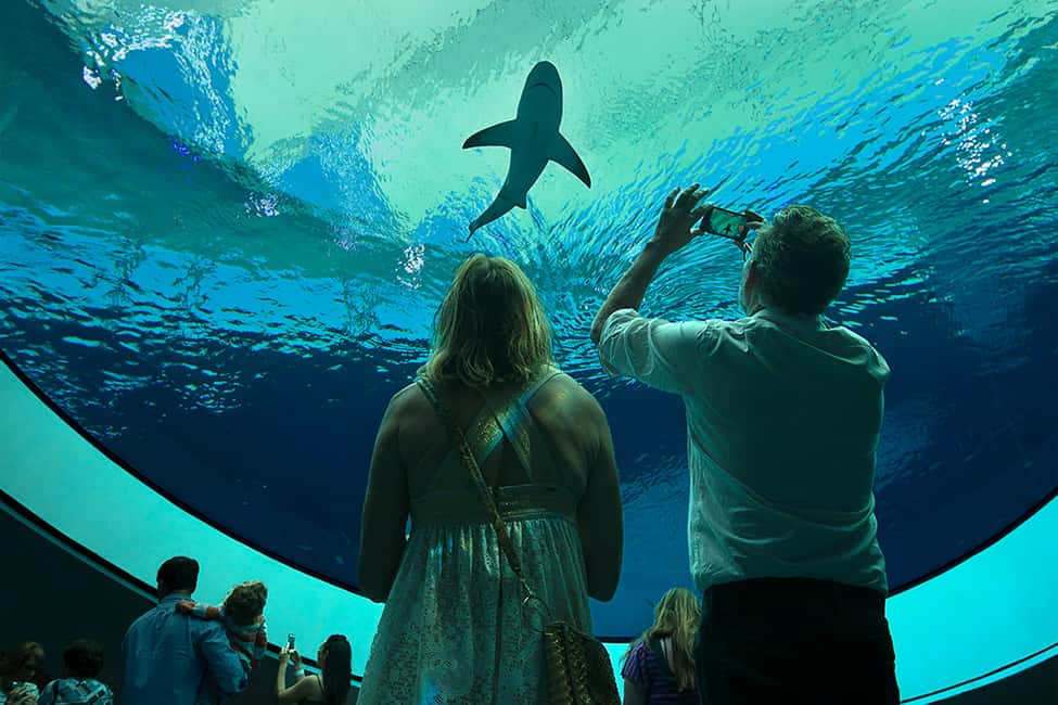 image n.1 of Miami: Frost Museum of Science and Planetarium Entry Ticket activity in Miami, uploaded by supplier