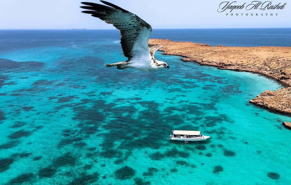 Immagine nº 1 di Da Al-Seeb: gita in barca alle isole Dimaniyat con snorkeling attività a Seeb, caricata dal fornitore