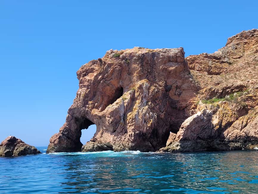 image n.4 of Peniche: Berlengas Island Round-Trip Ferry with Island Stop activity in Peniche, uploaded by supplier